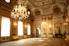 AMBASCIATA-VIENNA-SALONE